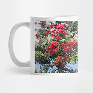 G17_1366 Mug